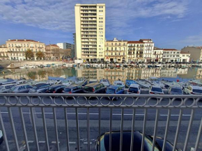 Appartement T2 centre-ville, parking privé, animaux admis - FR-1-338-562